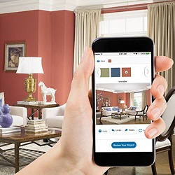 Paint Color Visualizer