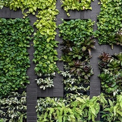 Ecological Solutions