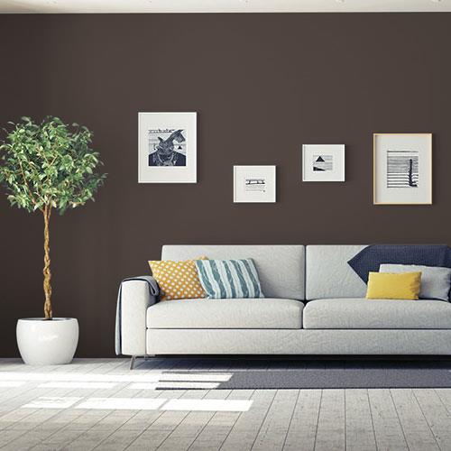 Brown Paint Colors