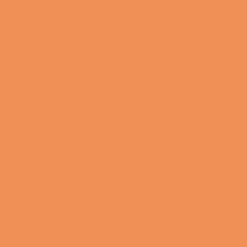 Exciting Colors