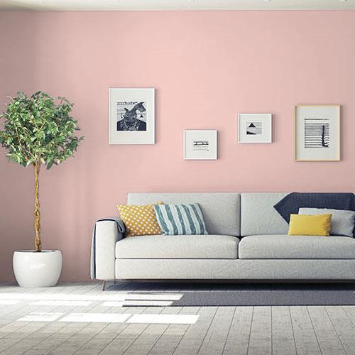 Millennial Pink Colors