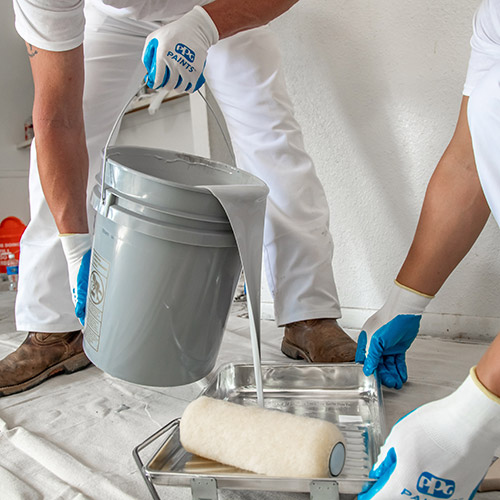 Interior Painting Projects