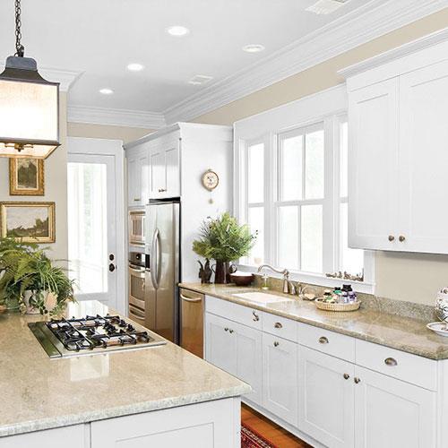 Moth Gray PPG1024-4