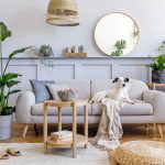indoor plants