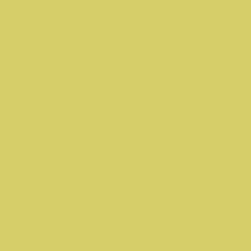 Trendy Colors